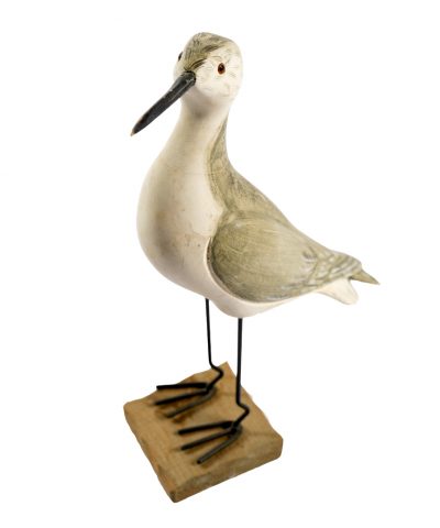 Gaivota Madeira