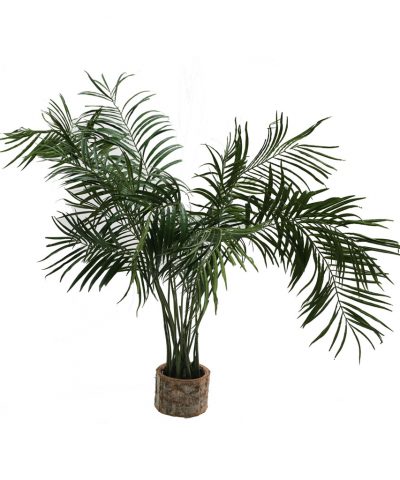 Palmeira