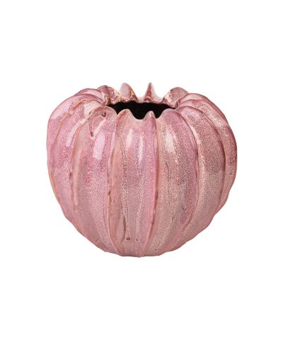 Abóbora Cor de Rosa