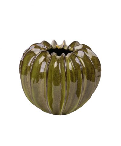 Abóbora Verde