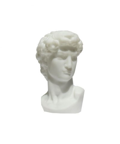 Busto Cabeça Branca