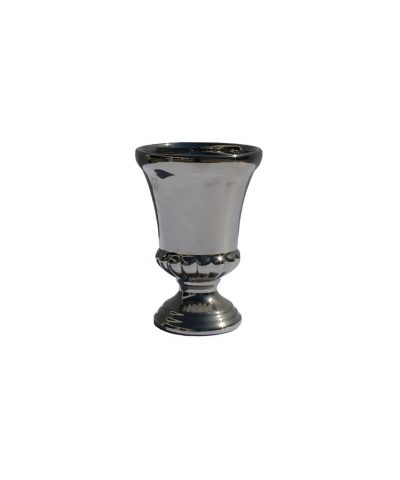 Taça Prateada 1