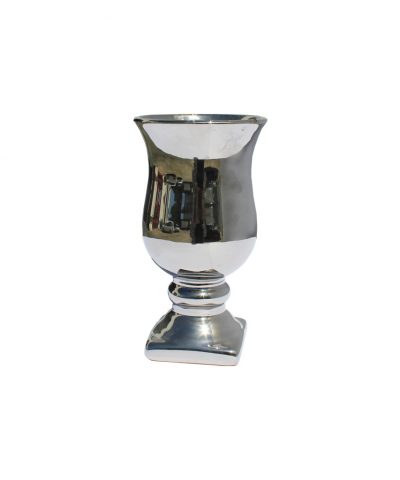 Taça Prateada 3