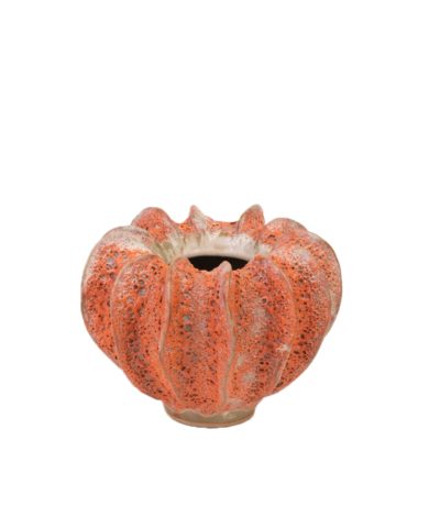 Abóbora Cor-de-Laranja Moss
