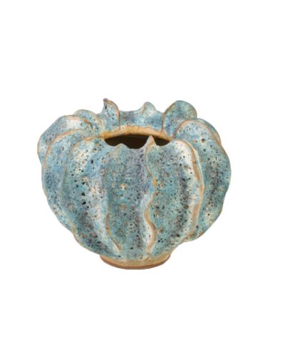 Abóbora Azul Turquesa Moss