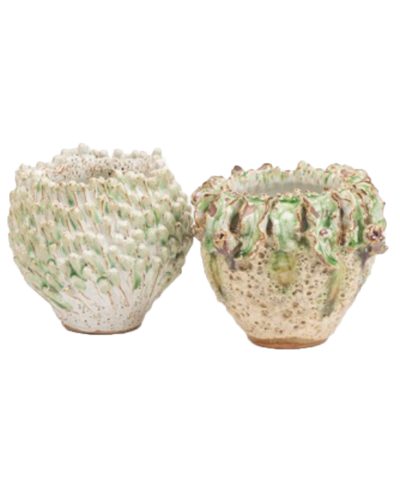 Vasos Luffa